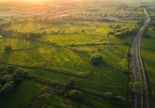 Prime frontage on Main 100 Ft. Road ▪ Excellent access from SSN Marg & Chhatarpur Bhatti Road ▪ Ideal Farmhouses _ Weekend Homes _ Long-Term Investment ▪ Peaceful green surroundings with high appreci